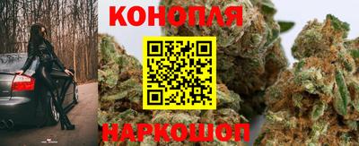 spice Кулебаки