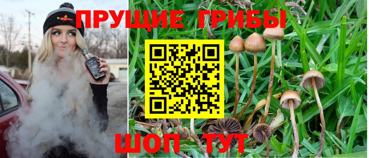 Псилоцибиновые грибы MAGIC MUSHROOMS  Вход с VPN  Егорьевск 